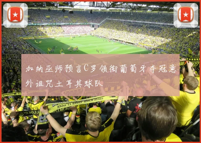加纳巫师预言C罗领衔葡萄牙夺冠意外诅咒土耳其球队